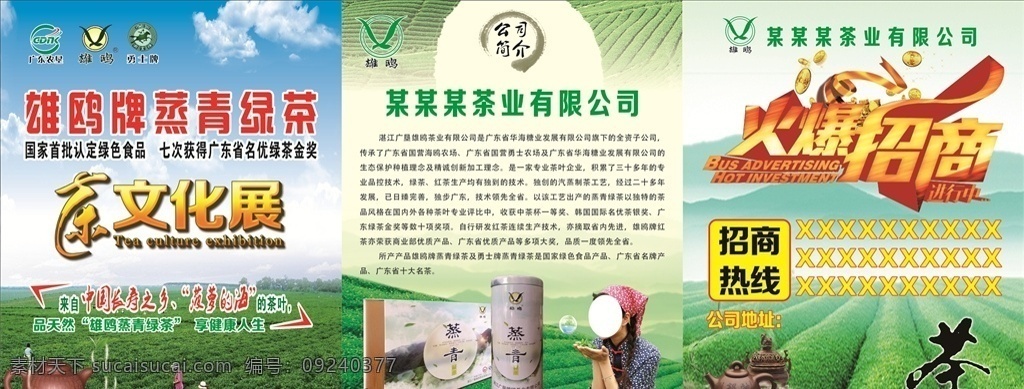 茶文化展 火爆招商 茶园 采茶女 茶具 茶壶 茶杯 茶艺术字 金币 茶业公司简介 茶叶 茶业 中国长寿之乡 菠萝的海 雄鸥牌绿茶 蒸青绿茶 摘茶美女 蓝天 白云 风景图 茶展板 文化展版