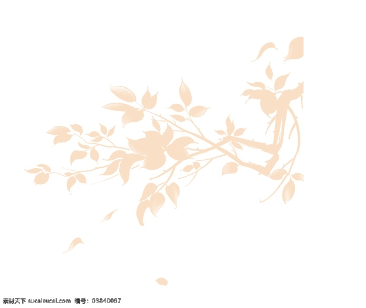 树叶叶子 枝条 树叶 叶子