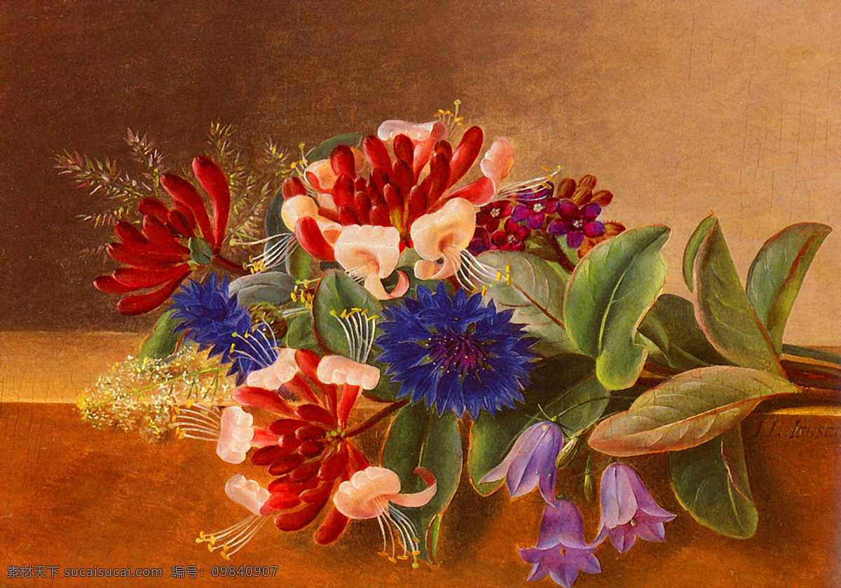 油画 金银花 蓝色 矢车菊 装饰画 无框画 手绘 花卉 花草 扫描 大图 清晰 写真 喷绘 印刷 打印 屏风 壁挂 绘画书法 文化艺术