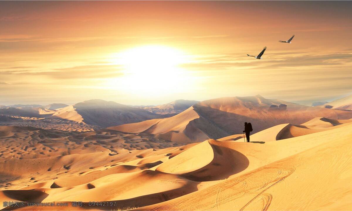 沙漠 中 行走 男子 飞鸟 太阳 旅游摄影 国内旅游