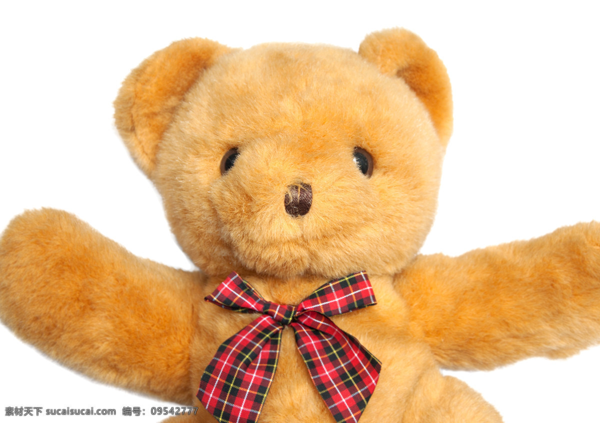 泰迪 熊 可爱 毛绒玩具 生活百科 生活素材 泰迪熊 玩具