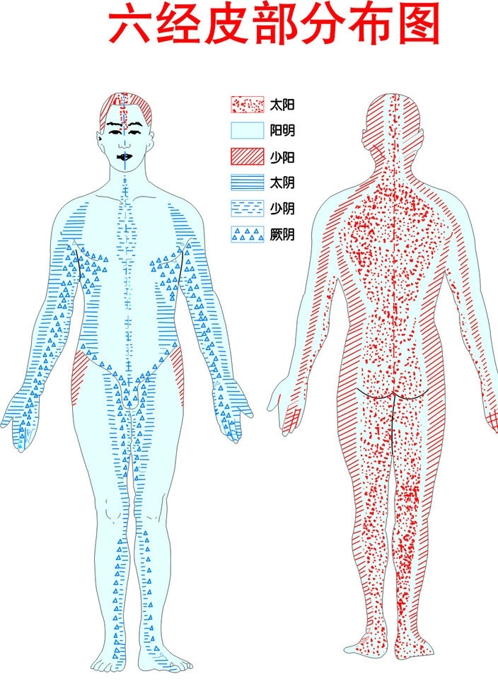 穴位图 穴 穴位 六经 经脉 人体结构 其他人物 矢量人物 矢量