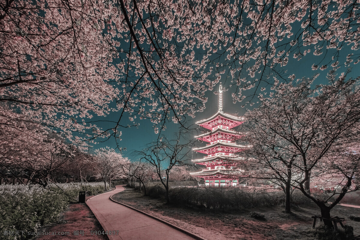 樱花 日本旅游 旅行 海报 素材图片 日本 旅游