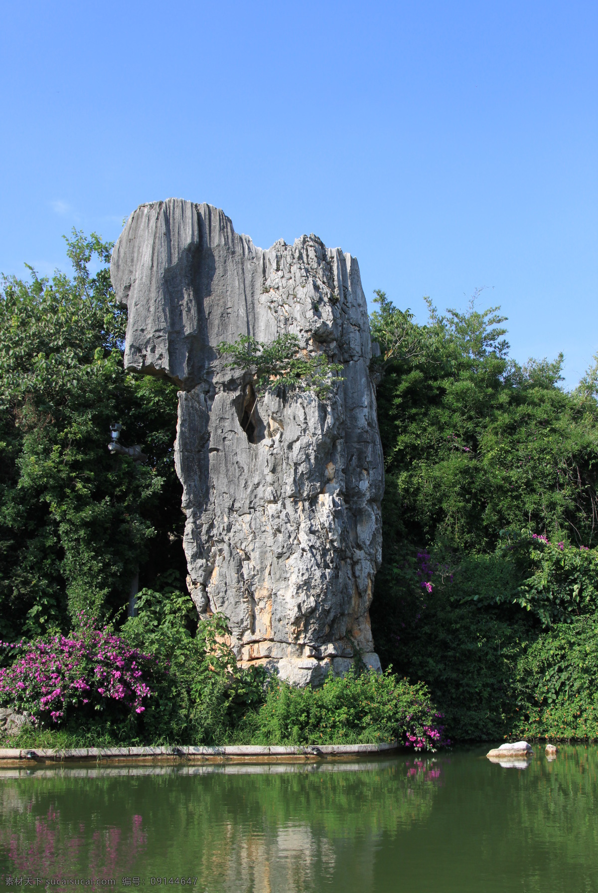 彝族石林 大象石 昆明 彝族 石林 阿诗玛 大象 石头 怪石 云南 国内旅游 旅游摄影