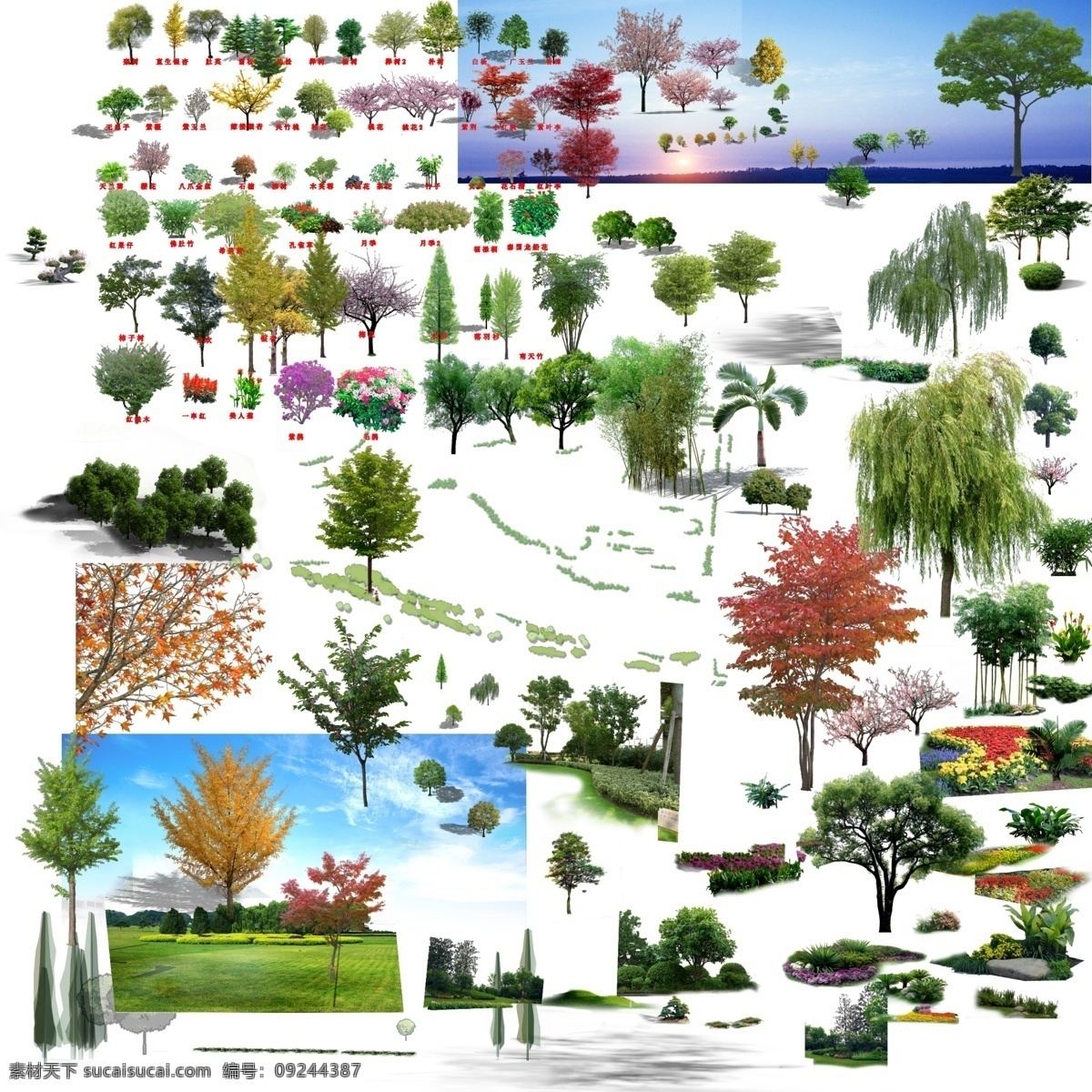 树木素材合辑 合辑素材 设计素材 分层psd 植物 贴图素材 建筑装饰 白色