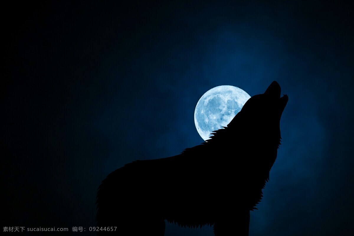 啸月天狼 狼 动物 月亮 黑色 蓝色 夜晚 背景 壁纸 自然景观 自然风景