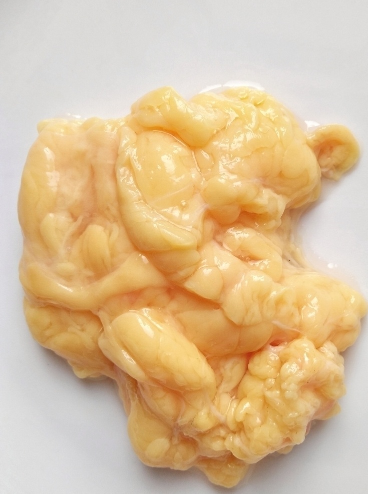 鸡油 油脂 黄色 食品 白底拍摄 鸡体内的油脂 食材 生物世界 其他生物