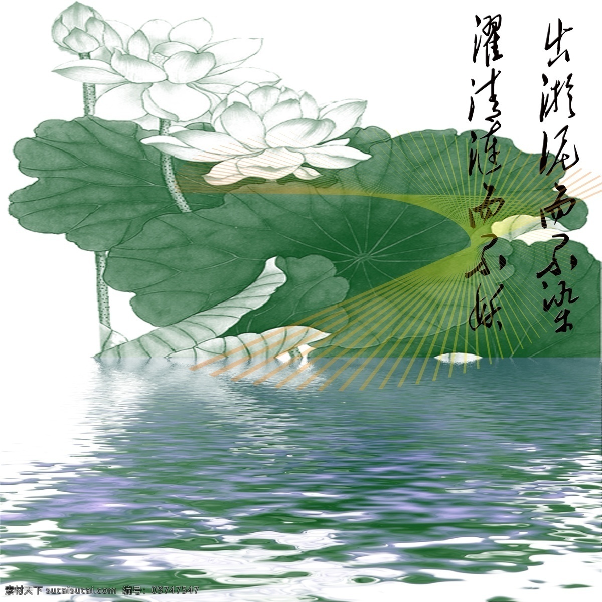 清水 出 芙蓉 倒影 荷花 水面 出淤泥 濯清涟 psd源文件 婚纱 儿童 写真 相册 模板