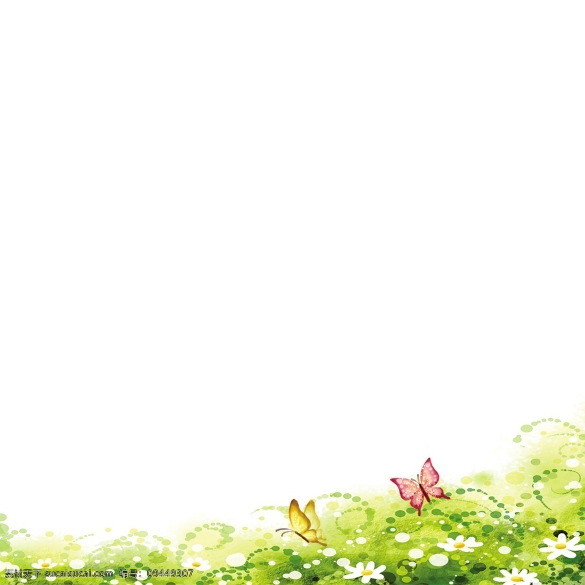 草丛花朵 草丛 花朵 白色 蝴蝶