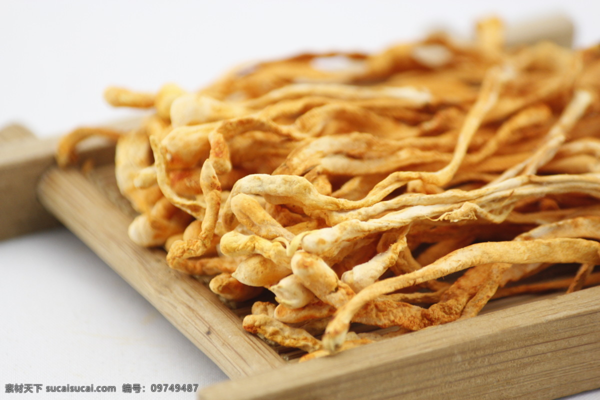 虫草花 虫草 冬虫 冬虫夏草 不老草 北冬虫草 蛹虫草 食物原料 餐饮美食