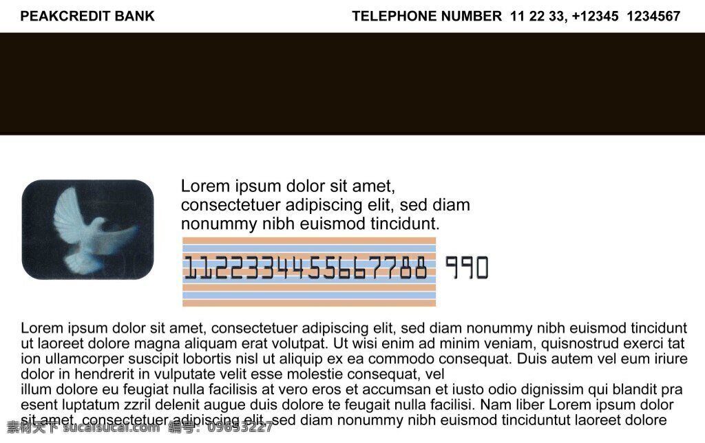 银行卡样机 智能 贴图 白色