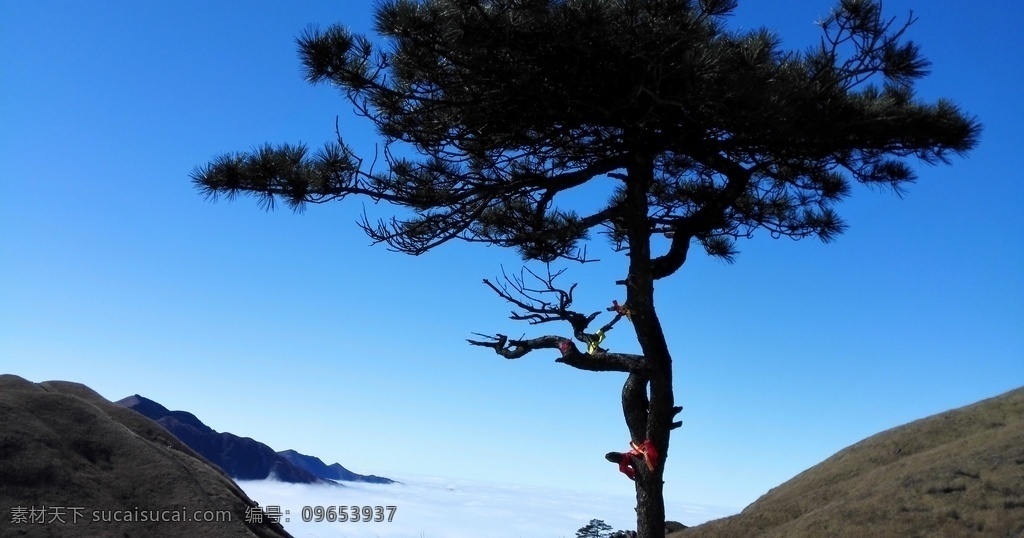 武功山景色 武功山旅游 武功山美景 江西武功山 旅游摄影 国内旅游