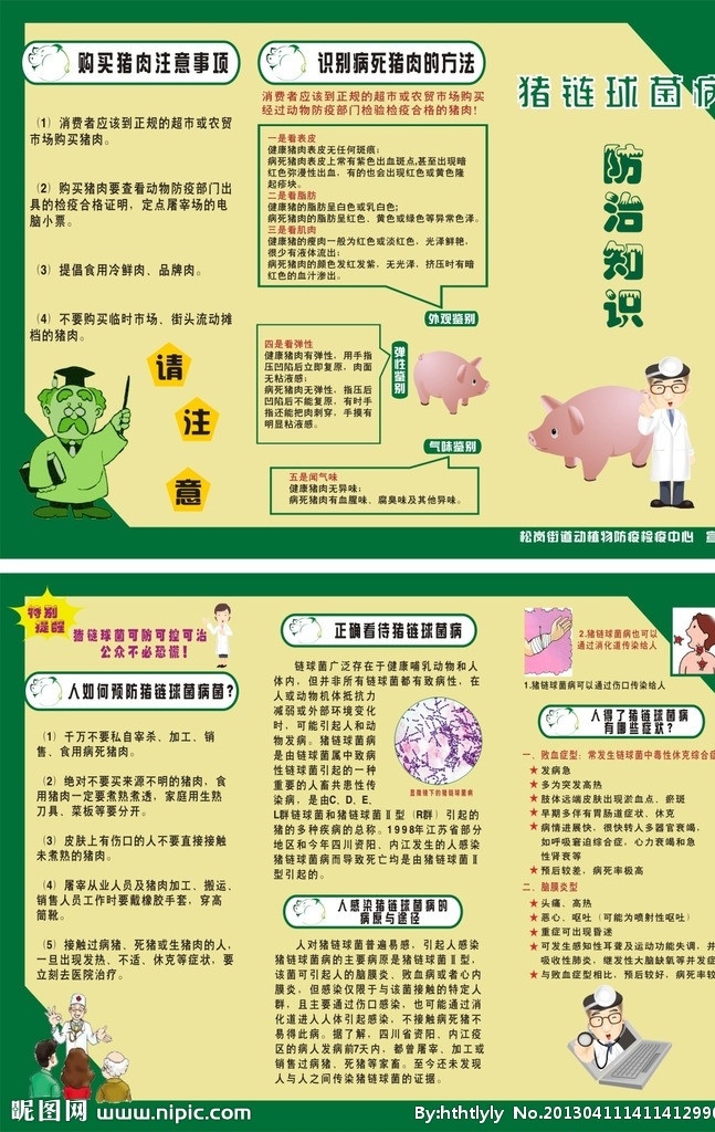 猪 链球菌 病 防治知识 病性禽流感 猪链球菌病 卡通人物 绿色 矢量