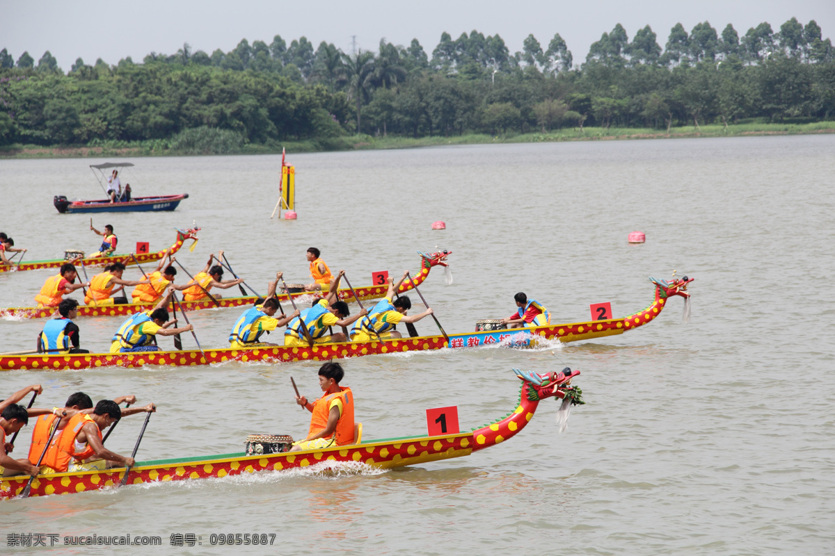 传统文化 端午 端午赛龙舟 湖 湖面 湖水 龙舟 民俗 赛 龙舟摄影 树林 树木 文化艺术 节日素材 端午节