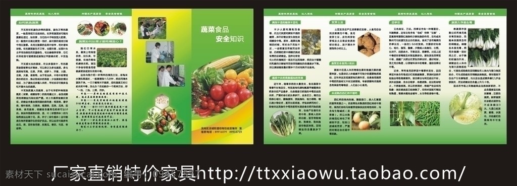 蔬菜 食品安全 知识 折页 食品 安全 4折页 西红柿 菜心 土豆 腌菜 图形 版面 人物 检验 白菜 四季豆 中毒 画册设计 矢量