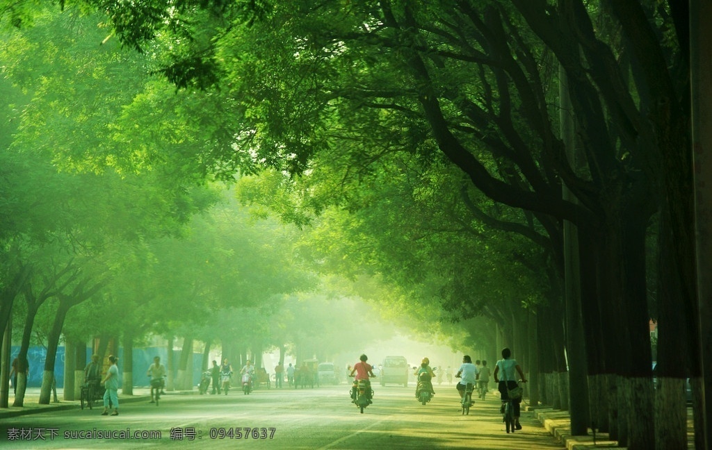 晨曦 风景 公路 行人 朝露 绿色 摄影作品 自然景观 景色 城市街景 国内旅游 旅游摄影