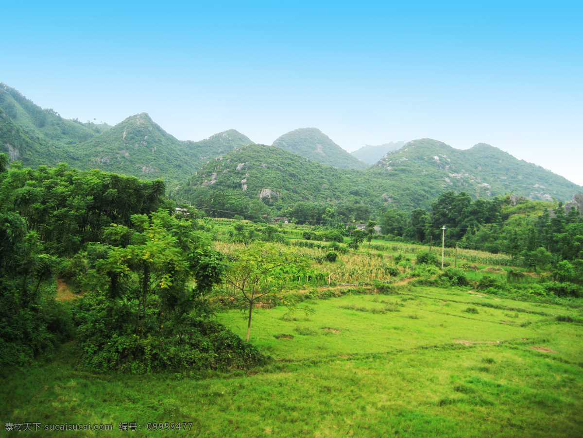 自然景观 自然风景 山峰 高山 树林 树叶 稻田 草坪 电线杆 大自然 旅游摄影