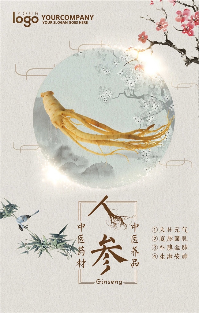 中医 药材 人参 海报 模板下载 中药野人参 中药 中药文化 中药展板 中药图片 中药素材 中药材 中药海报 中药挂图 中药养生 野人参