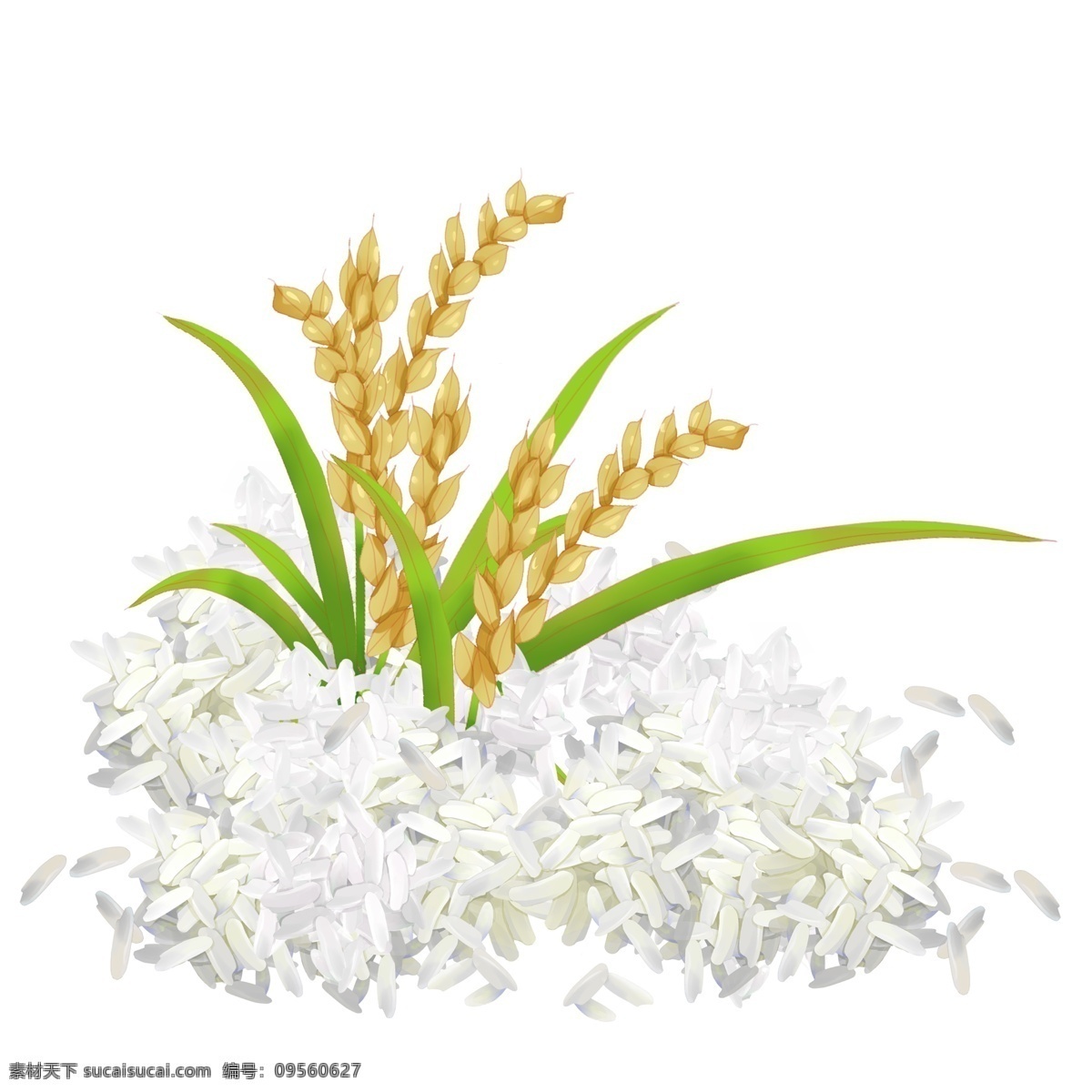 五谷丰登 大米 插图 创意大米插图 稻穗 米粒中的稻穗 创意丰收插画 绿色食品