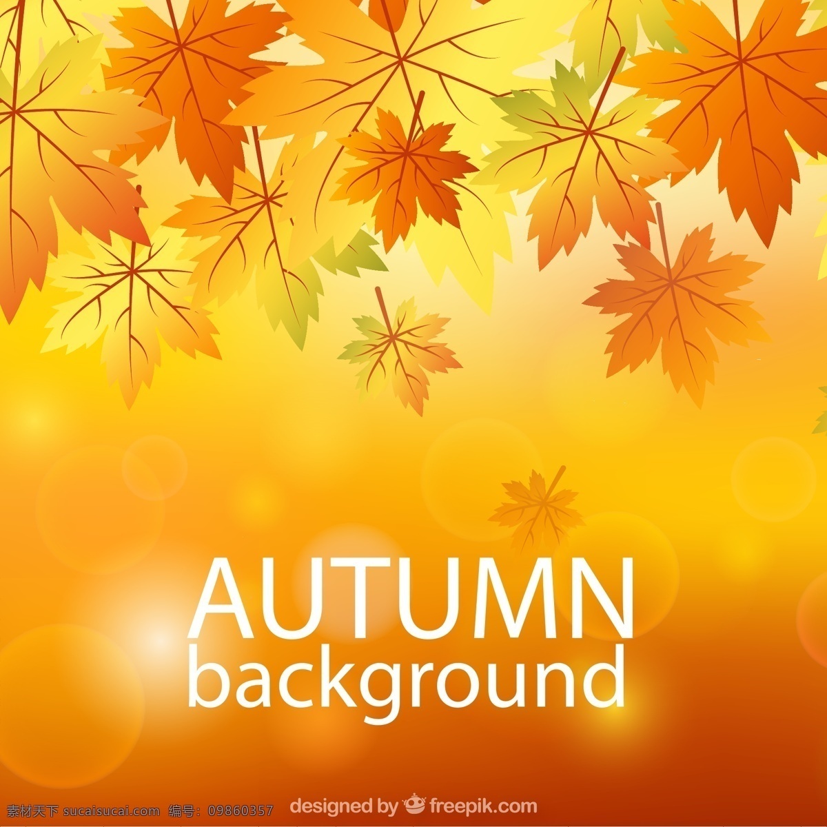 橙色 秋季 树叶 叶子 矢量图 格式 矢量 高清图片