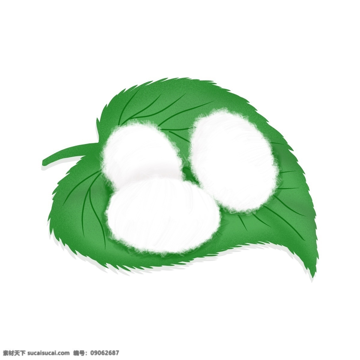 小满 节气 桑叶 蚕茧 元素 绿色 白色