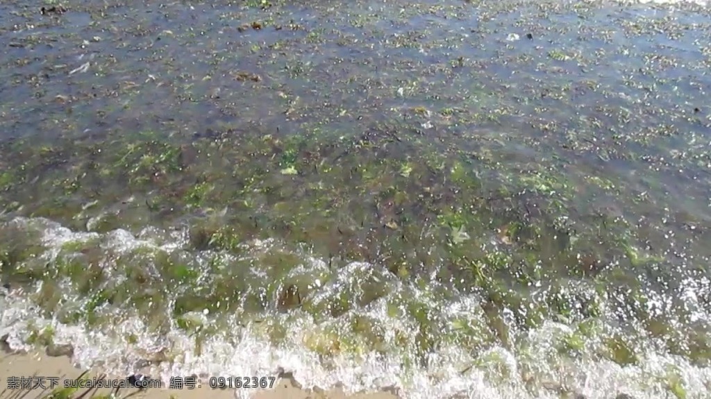 视频背景 实拍视频 视频 视频素材 视频模版 海滩 海边 海边视频