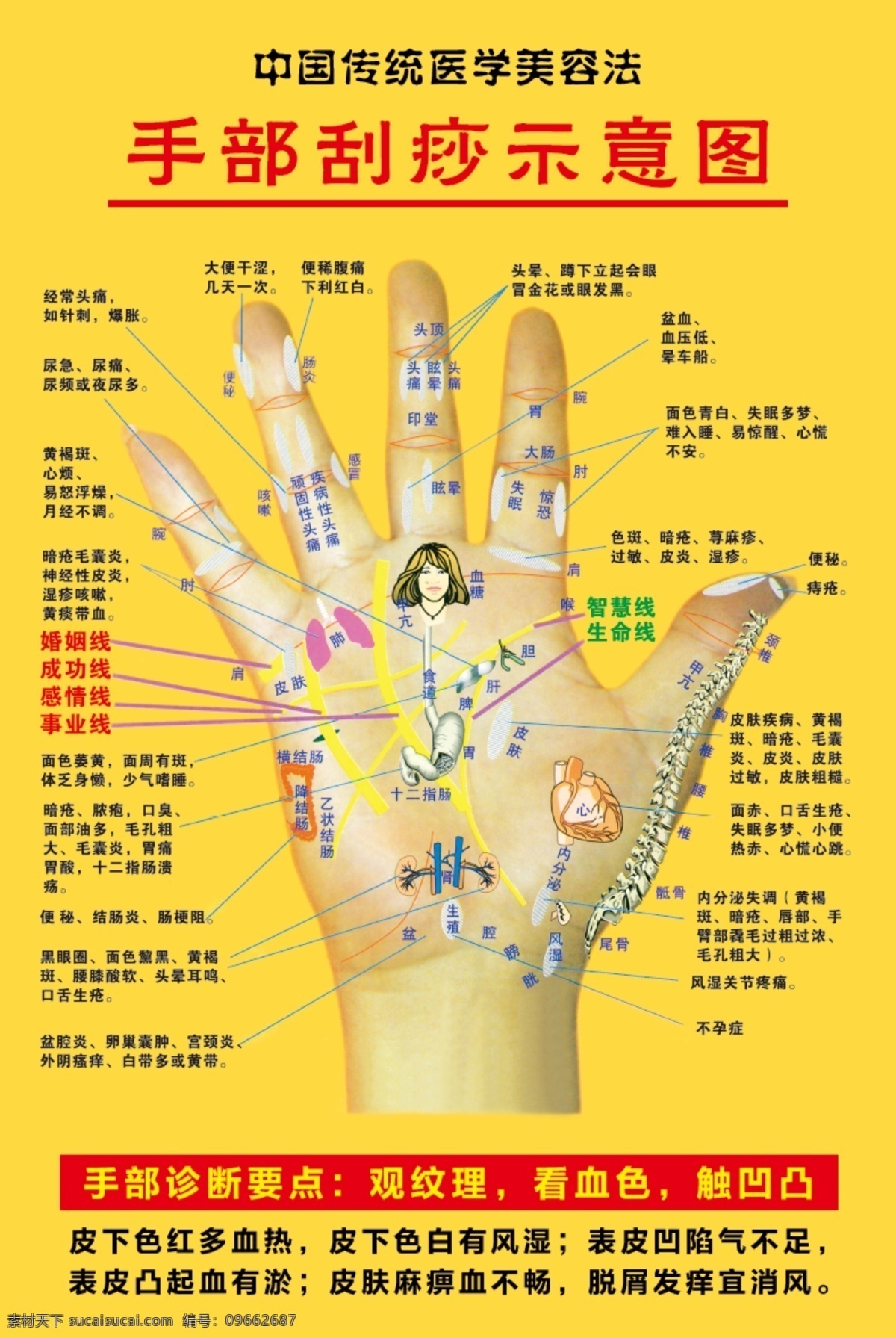 刮痧示意图素材图片下载-素材编号09662687-素材天下图库