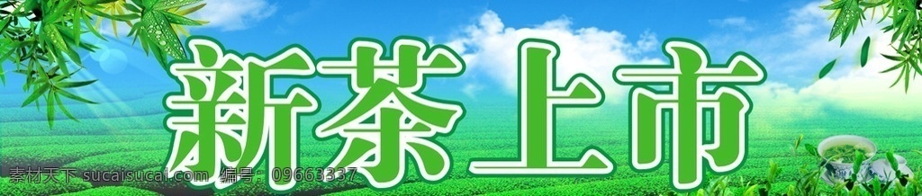 新茶上市门腰 茶山 新茶上市 新茶写真 新茶门腰 新茶