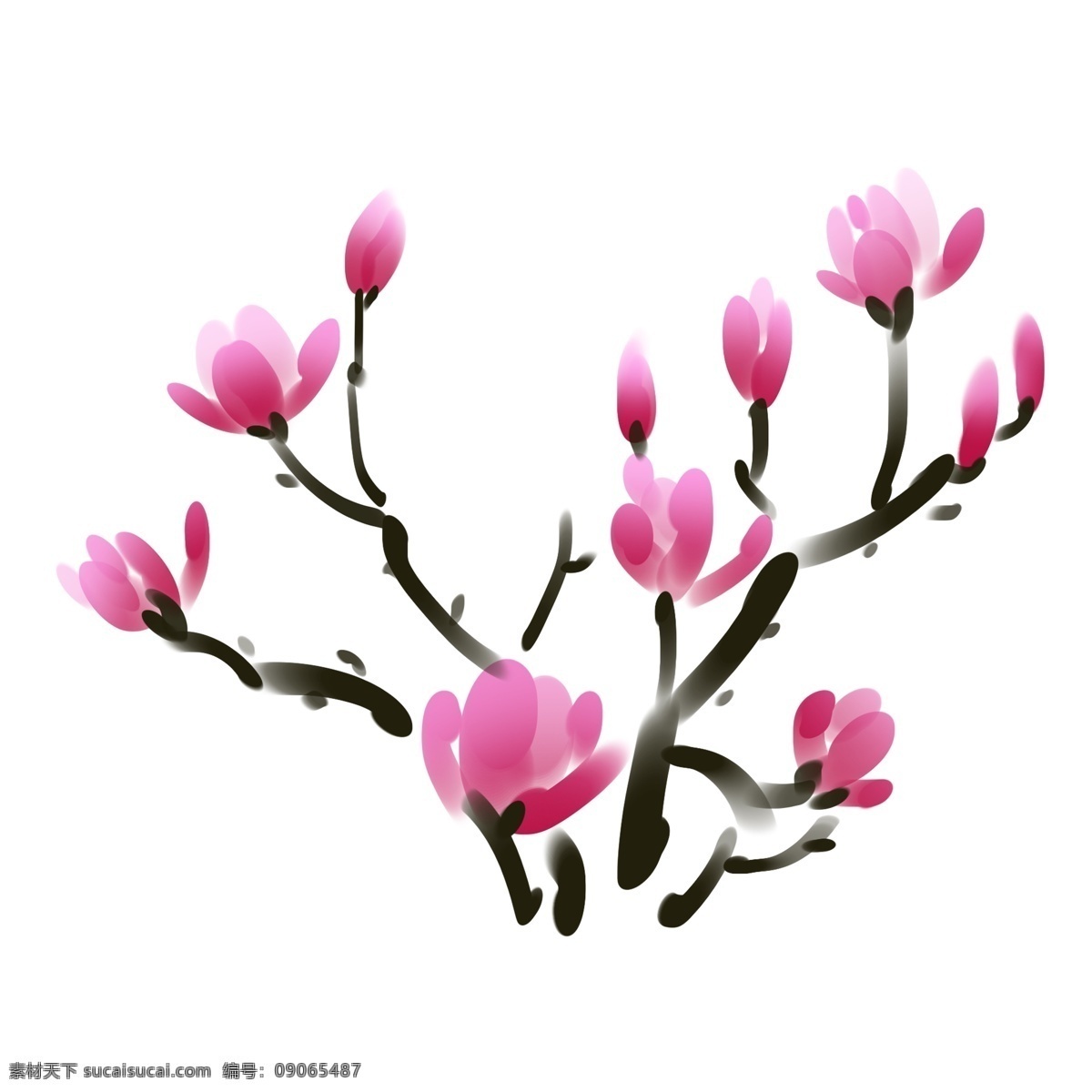 卡通 玉兰 树枝 插画 粉色的玉兰 玉兰花花枝 卡通花朵 花卉 唯美的花朵 水墨花枝插画
