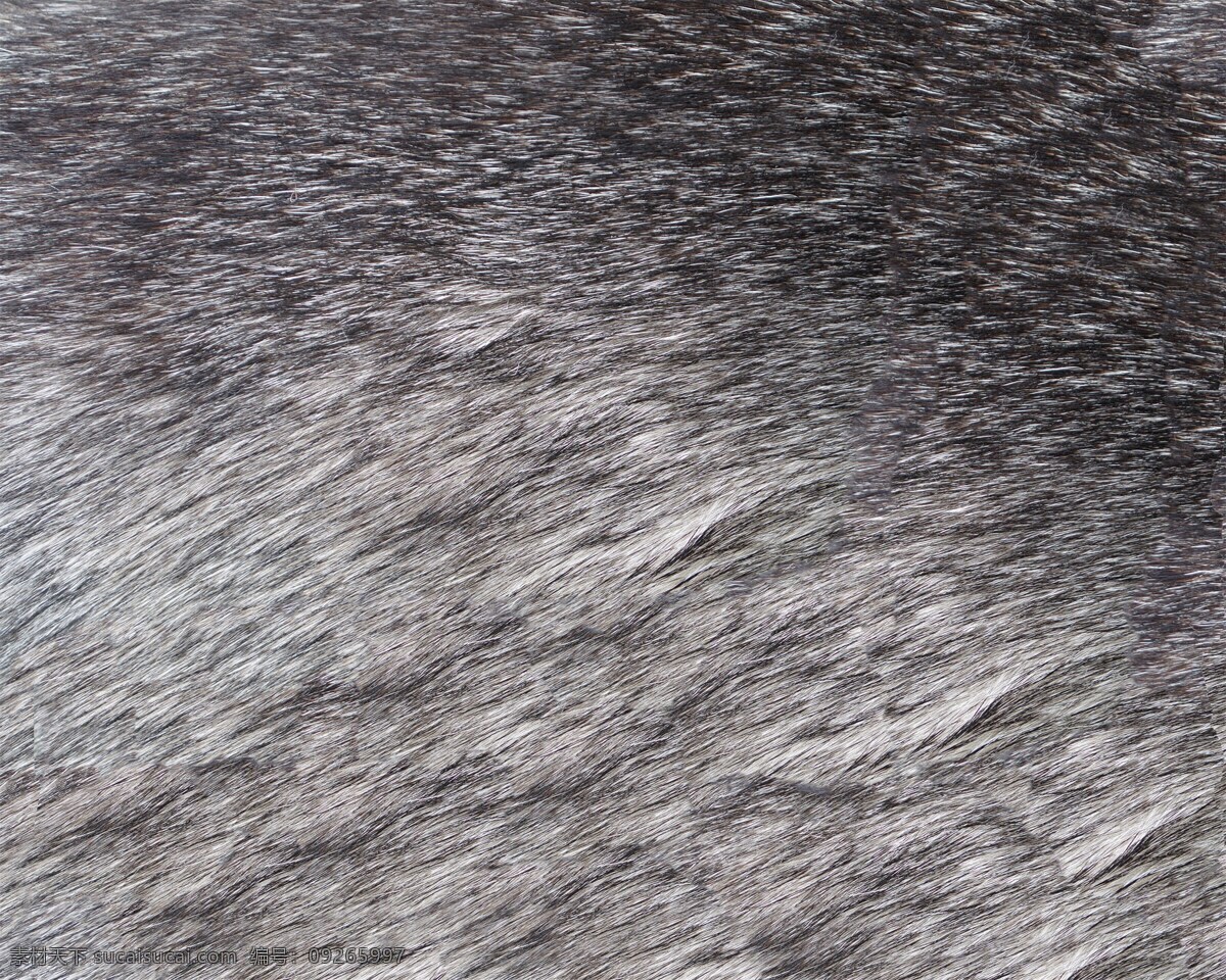动物 毛发 填充 纹理 背景 设计素材 背景素材