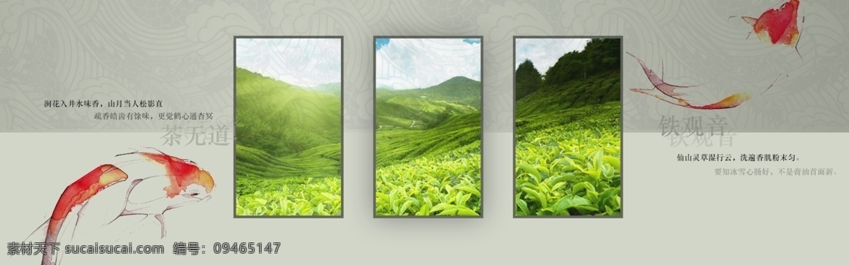 茶道 绿 白 中国 风 网页 banner 中国风 清新 风格 锦鲤 茶