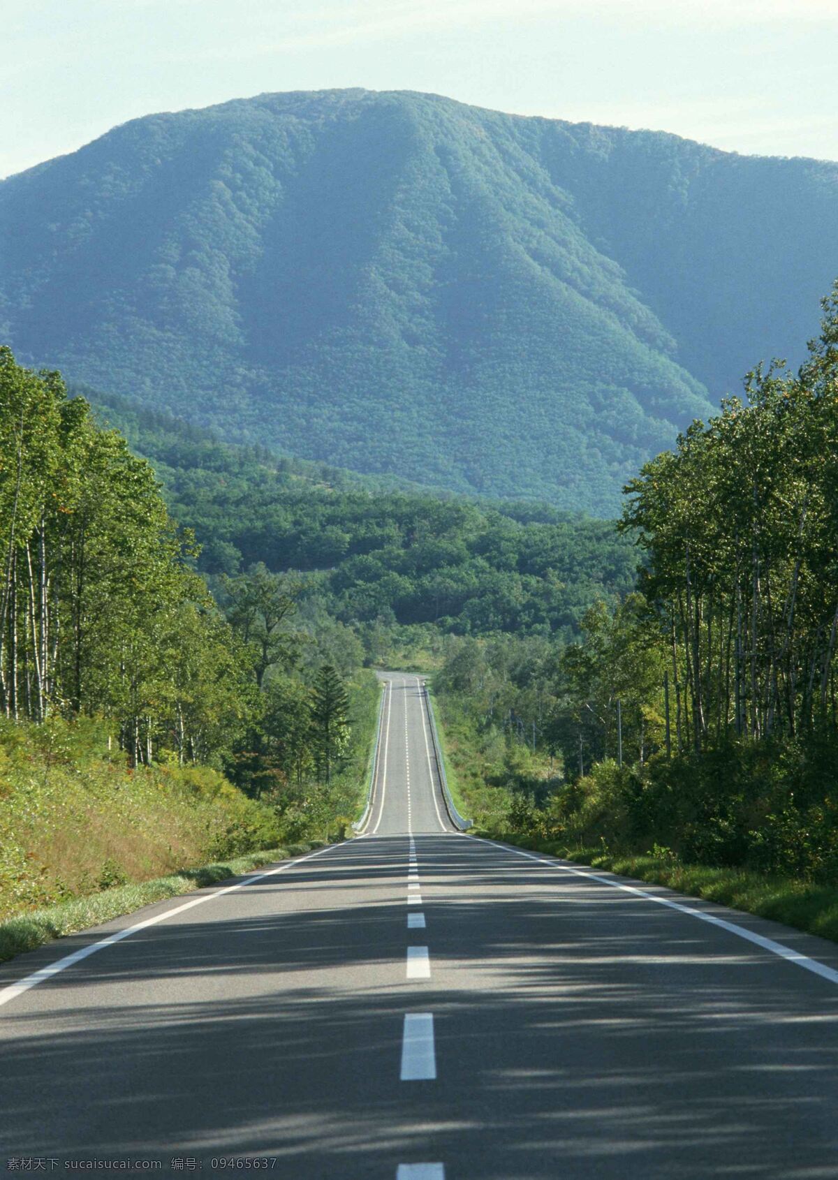 野外公路 道路 乡村道路 国道 乡间道路 马路 森林马路 森林公路 大马路 公路 道路风光 路面 道路素材 树 对称道路 树与路面 国内旅游 旅游摄影