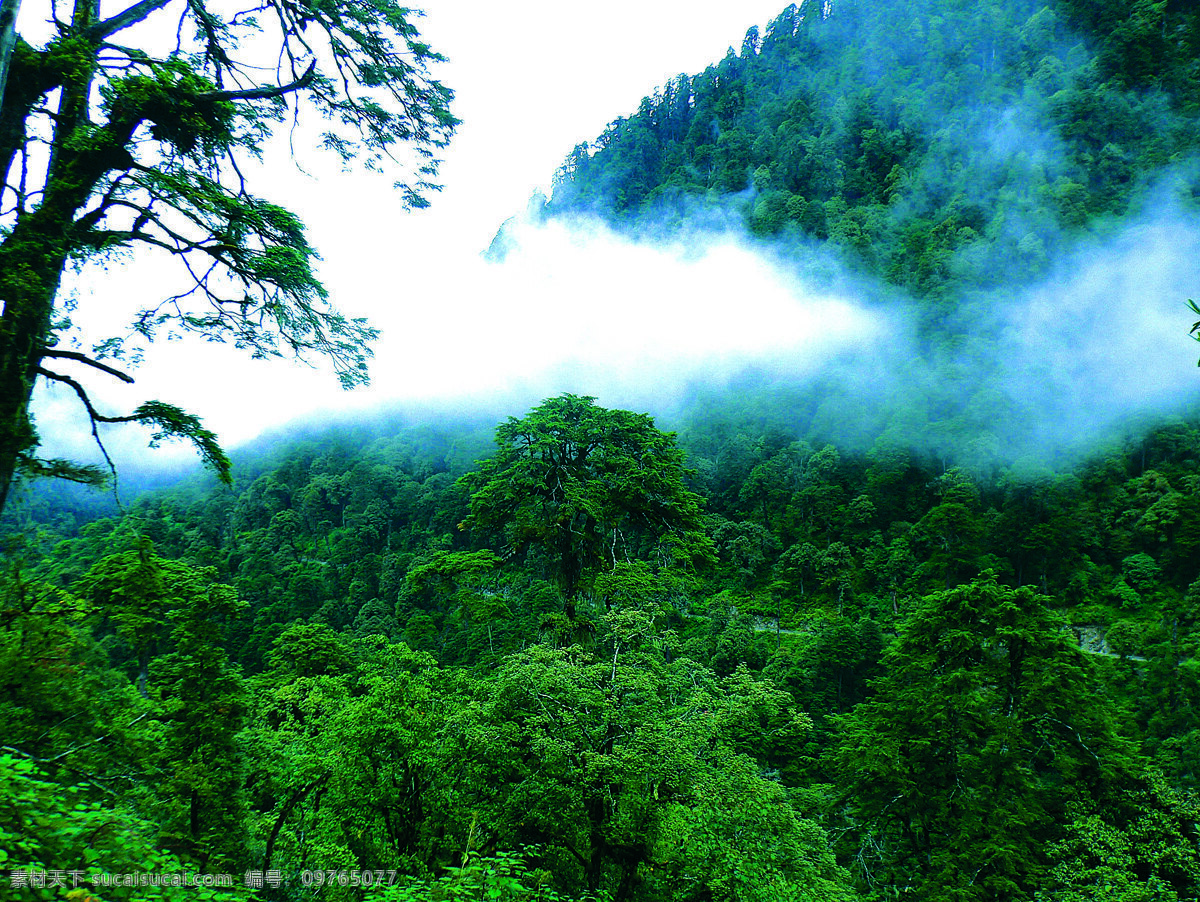 苍穹 下 高黎贡 山下 云海 天空 蓝天 白云 青山 大海 水 树 漂亮的风景 自然景观 摄影图库 自然风景