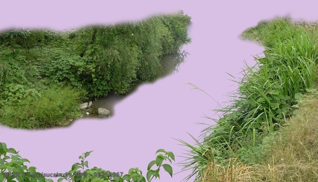 河岸植物 景观小品 景观元素 草坪素材 花台素材 效果图 合成 绿植 草皮 公园 树 贴图 合成素材 草 石头 分层素材 河边小草 河沿 河岸 建筑 分层