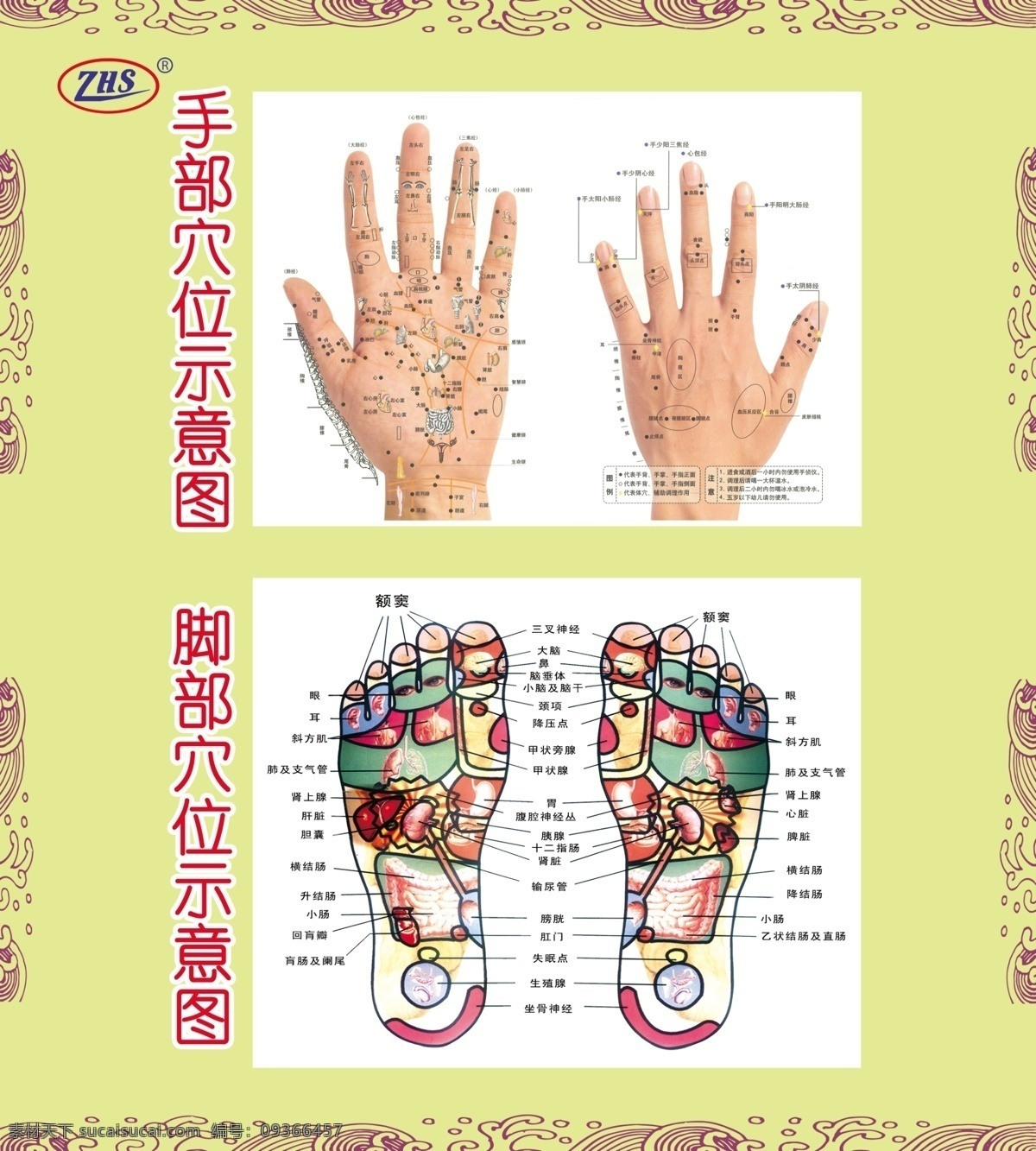 手足穴位图 手部穴位图 脚部穴位图 花纹 底纹 分层 源文件