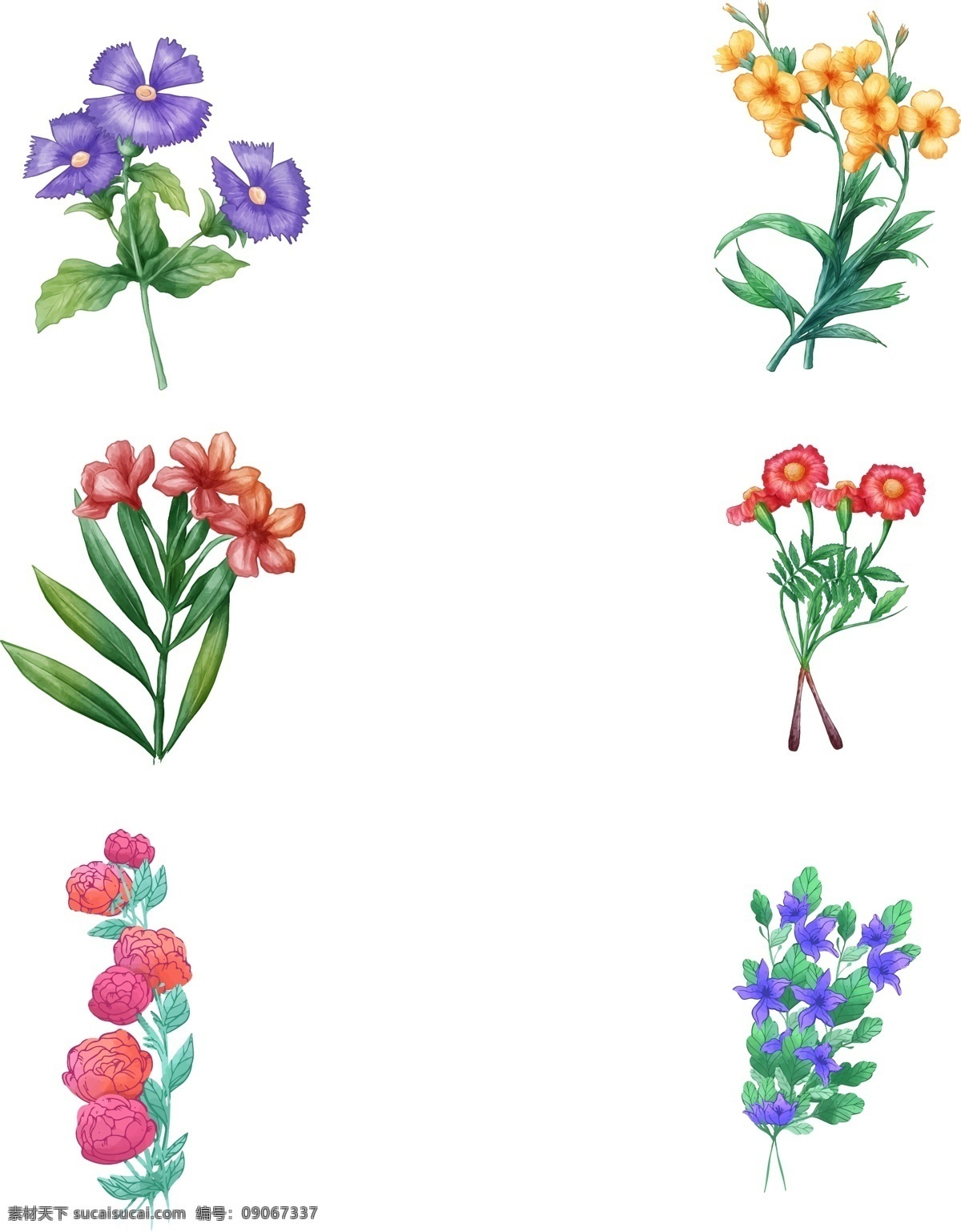 简约 唯美 植物 装饰 元素 紫色 红色 卡通