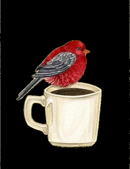 可爱 神气 红色 小鸟 装饰 元素 动物 红色小鸟 咖啡杯 水杯 装饰元素