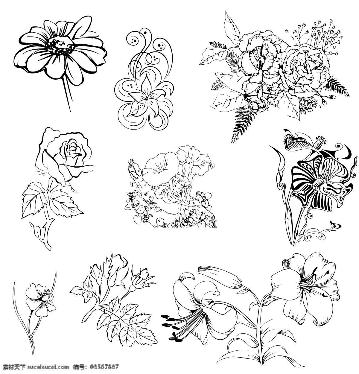 实 量 图 花 珍藏版 黑白 花卉 图案 线条 植物