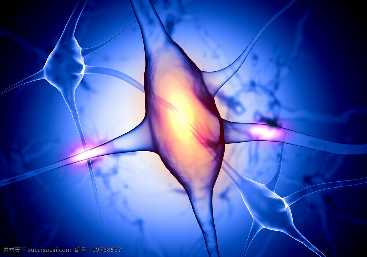 细胞 神经 医学 医疗卫生科学 细胞图片 现代科技