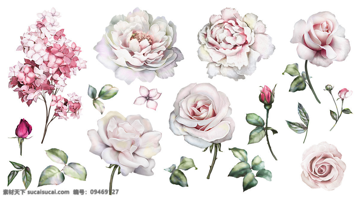粉色玫瑰图片 手绘花 水彩花 铅笔画 月季 玫瑰花 高清 印花 粉色花 花卉 分层