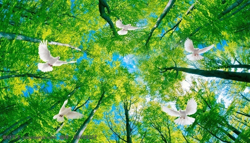 花鸟画 树林 玄关图 吊顶图片 鸽子 吊顶 分层