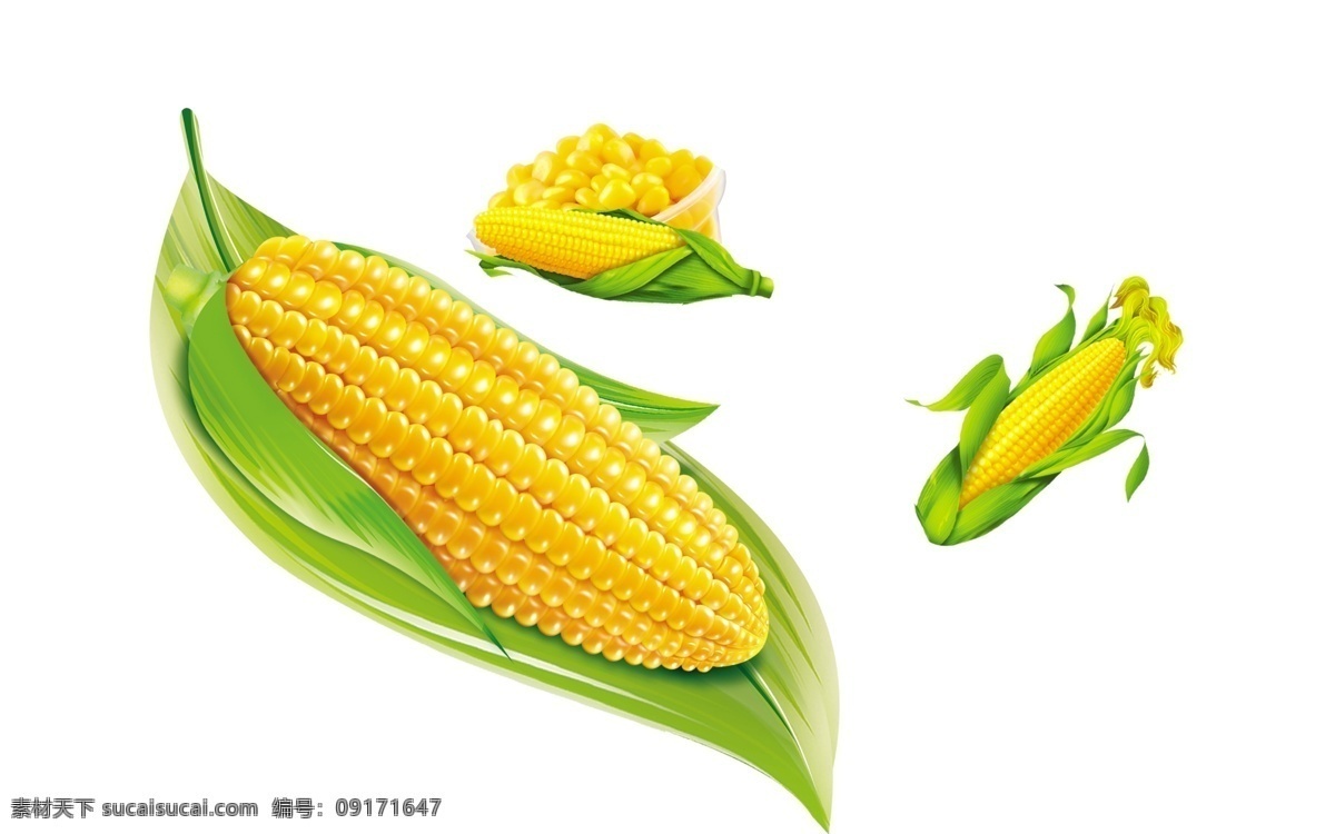 玉米 卡通玉米 玉米素材 玉米叶子 矢量玉米 矢量素材 绿色食品 农作物 米 玉米棒 甜玉米 包谷 苞米 棒子 玉米棒子 背景素材 分层 源文件