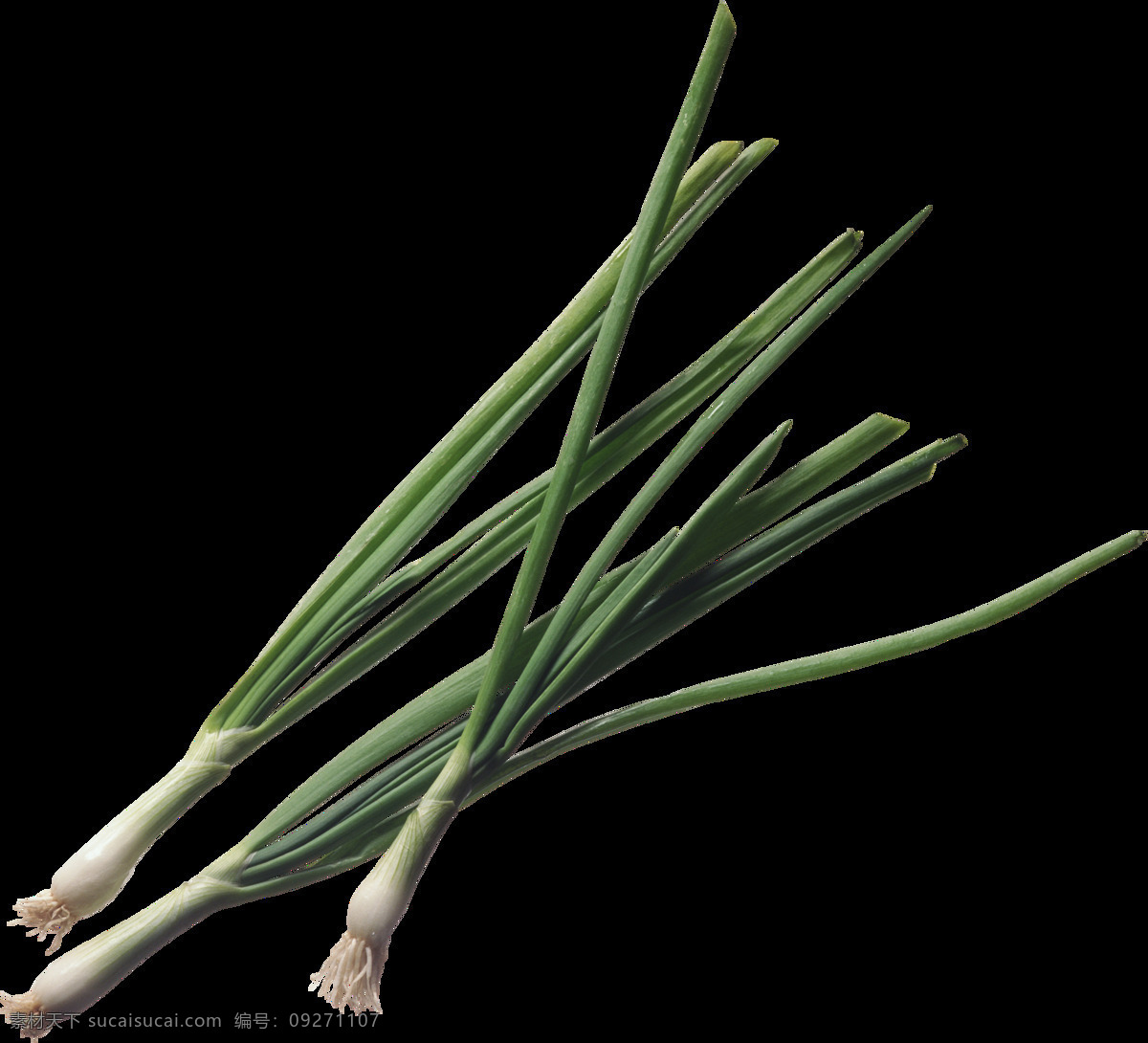 大葱 高清 蔬菜 水果 食物 生物世界 广告设计素材 生活用品 生活百科