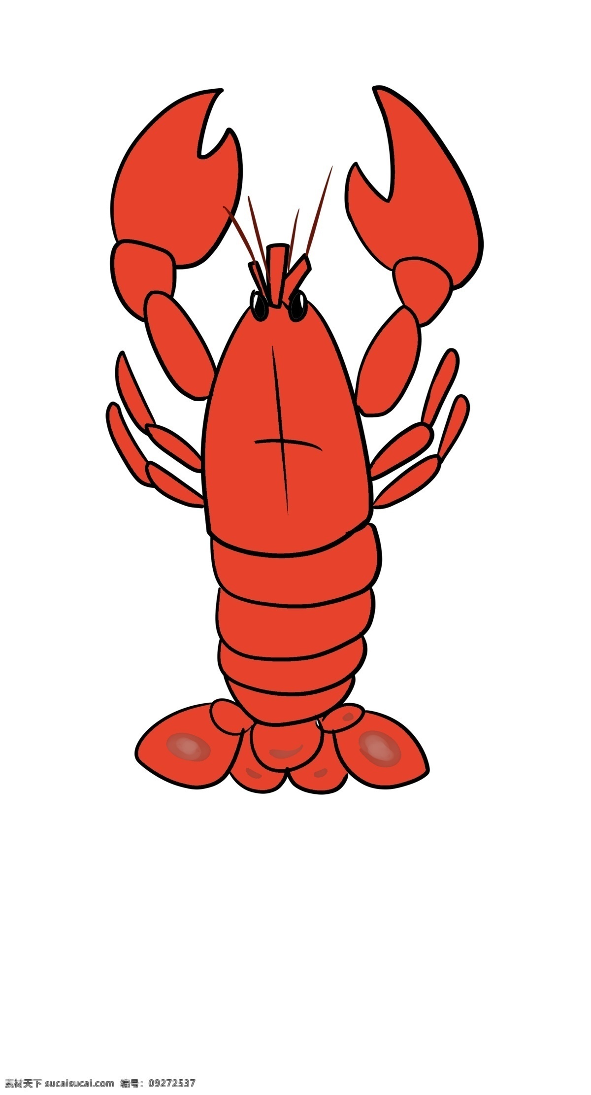 漂亮 龙虾 装饰 插画 漂亮的龙虾 红色的龙虾 创意龙虾 立体龙虾 可爱的龙虾 龙虾装饰 龙虾插画