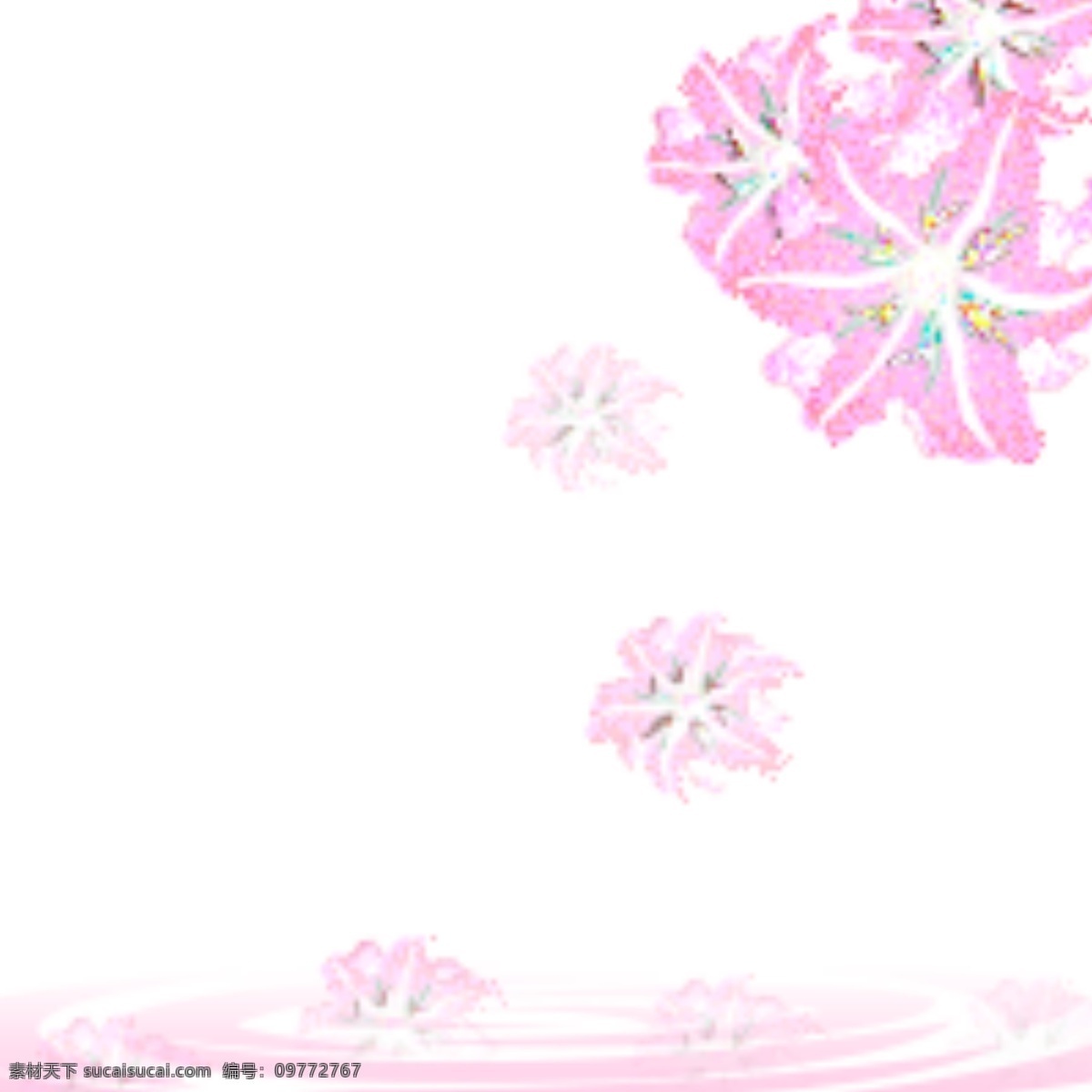 原创 各种 花 四月 元素 设计元素 插画 花朵 樱花 6个