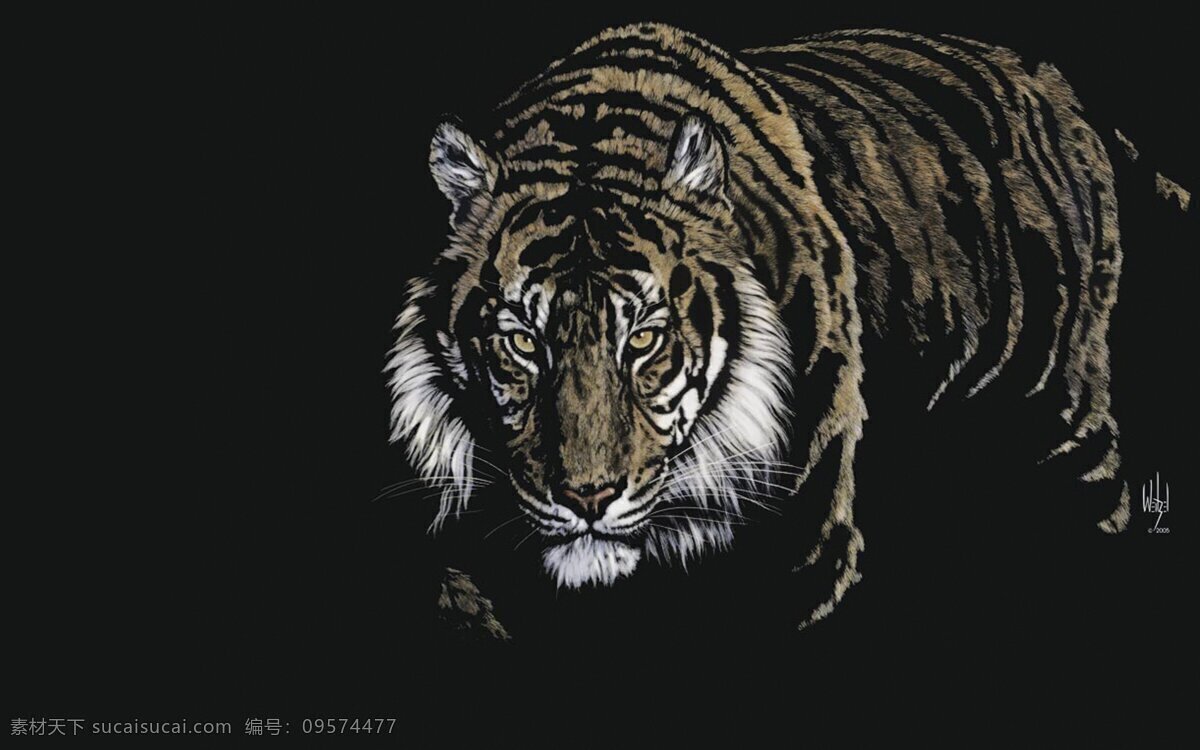 老虎 东北虎 华南虎 大猫 凶猛 凶猛野兽 百兽之王 打老虎 大老虎 虎皮 虎骨 兽皮 野兽 野生动物 动物园 白虎 美洲虎 非洲虎 虎皮膏药 老虎皮 老虎肉 老虎骨头 老虎牙齿 生物世界