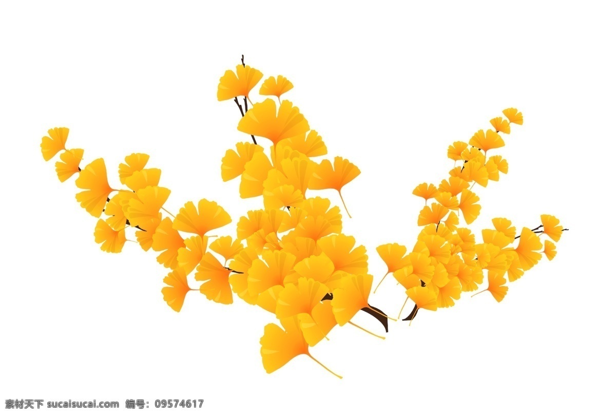 黄色 秋天 植物 装饰 秋季 银杏 立秋