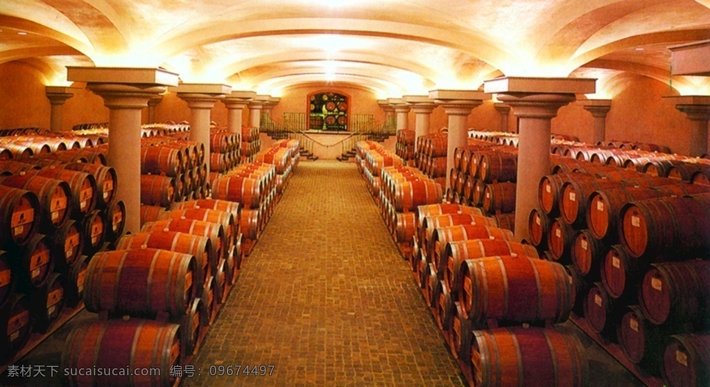 酒窖 葡萄 红酒 葡萄叶 老树 酒素材红酒 自然景观 人文景观