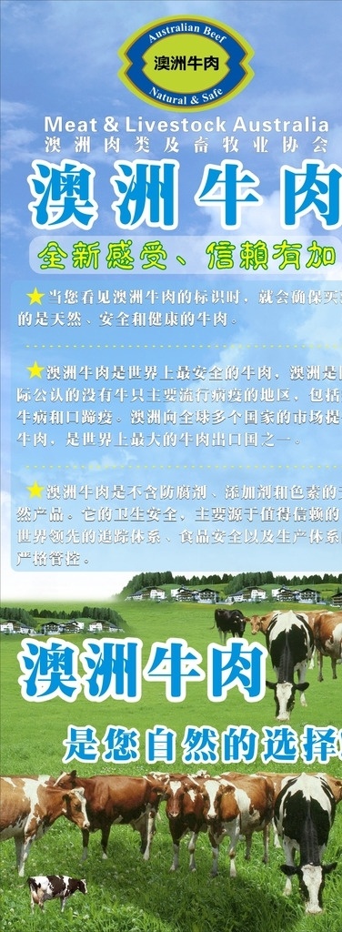澳洲牛肉展架 澳洲 牛肉 绿色 生态 环保 健康 海报