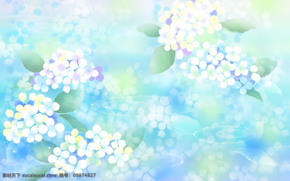 蓝色 绣 球花 背景 花朵 背景图片